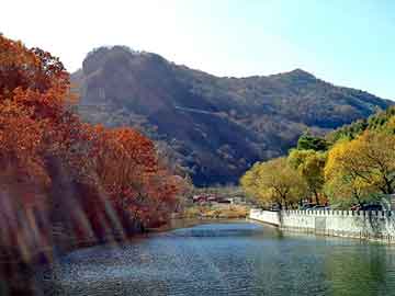 天天彩好彩天天免费，三门峡seo优化